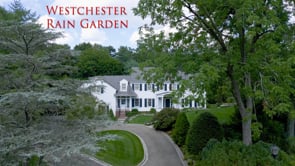 Ross Martin Design / Westchester Rain Garden