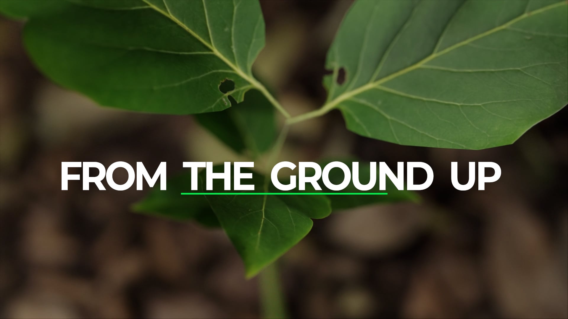 From the Ground Up | Trailer