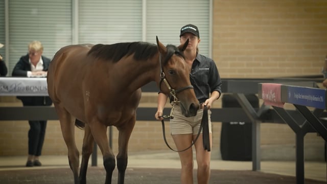 Day 3 Review Show: 2023 Inglis Premier Yearling Sale