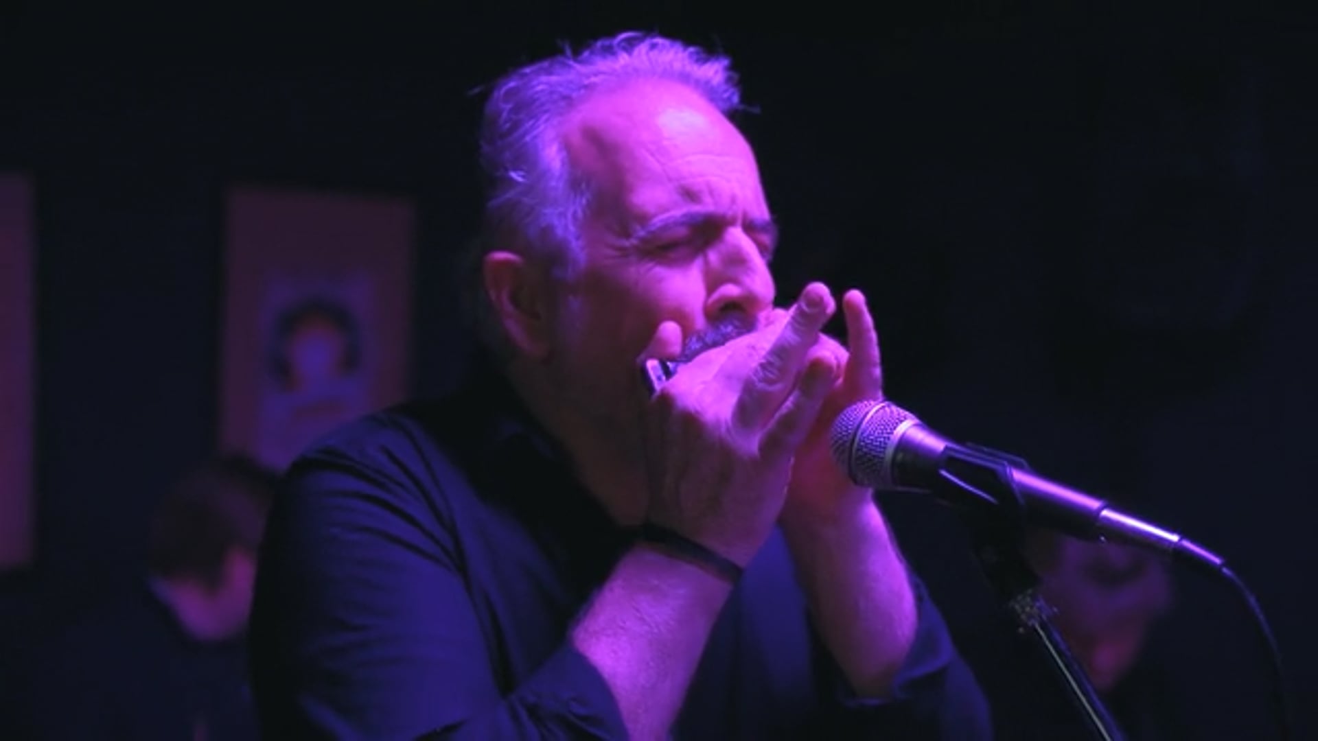 Swamp Fox - Undercover Agent For The Blues (Recorded @ Creativfactor 6-3-23)