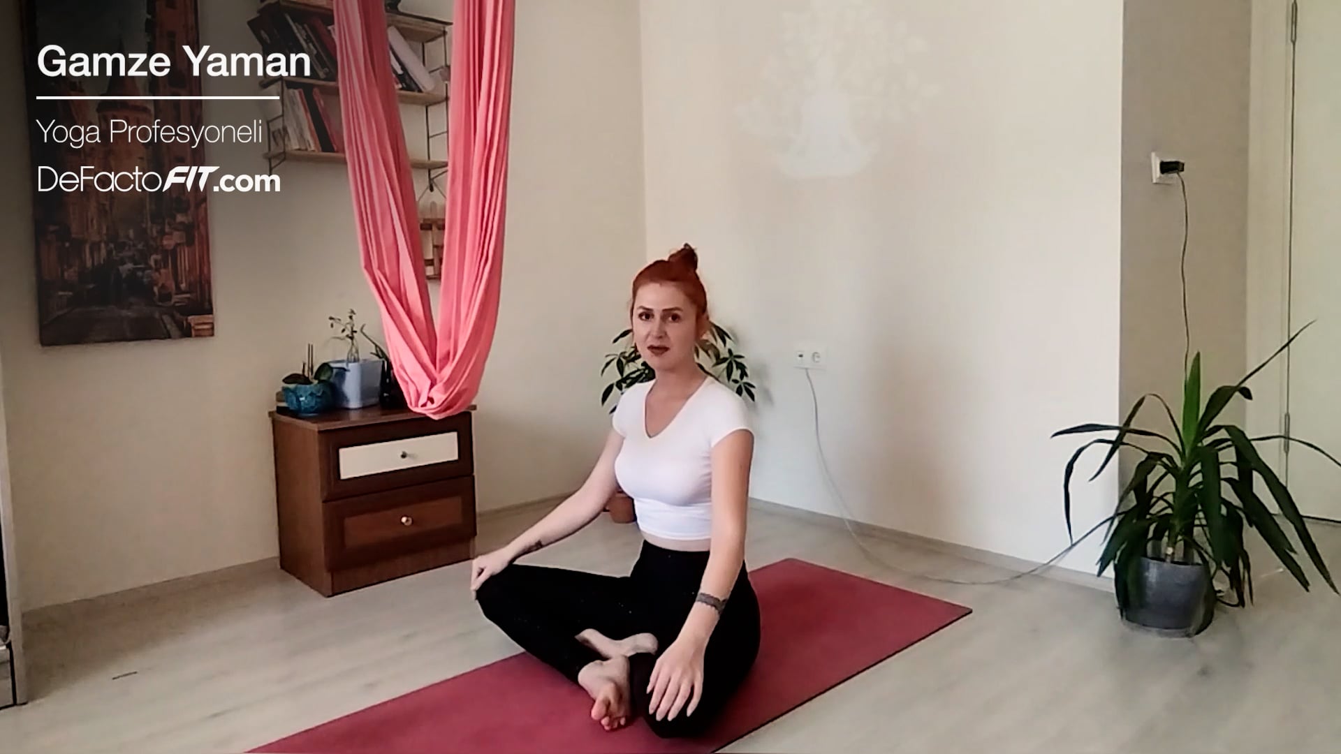 Hamak Yogası Karın Egzersizleri