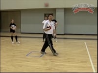 Preview Video #1
