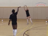 Preview Video #1