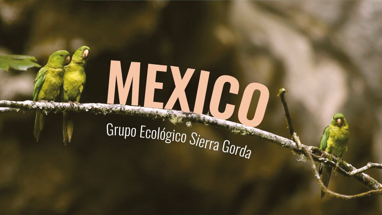 Puro Fairtrade Coffee Mexico Reserve - Short