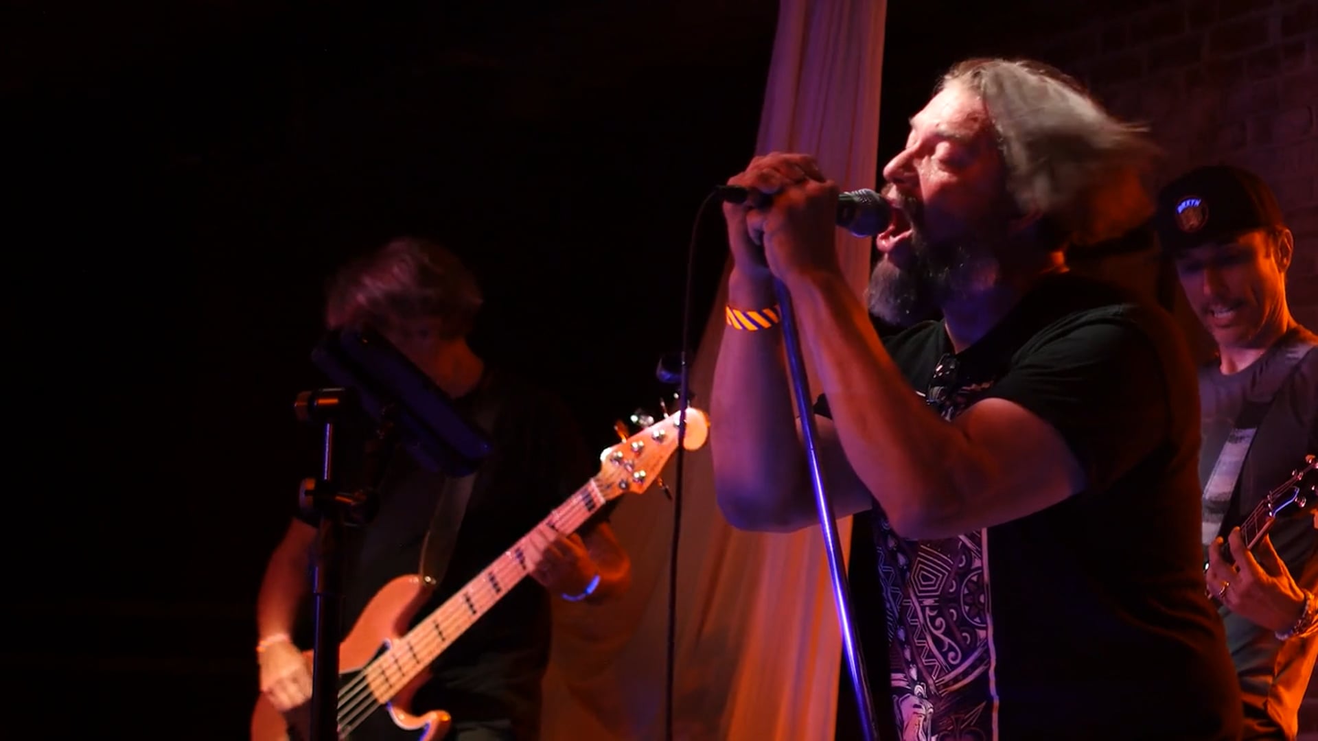 Stupid Little Monkey Reunion Concert