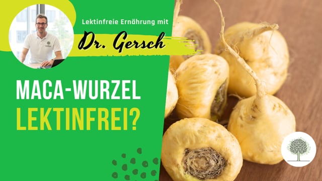 Ist die Maca-Wurzel lektinfrei?