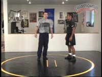 Preview Video #1