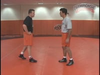 Preview Video #1