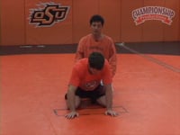 Preview Video #1
