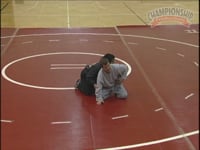 Preview Video #1