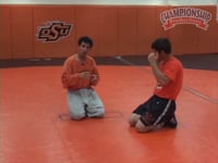 Preview Video #1