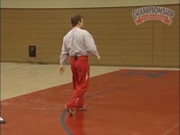 Preview Video #1
