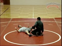Preview Video #1