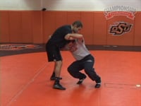 Preview Video #1