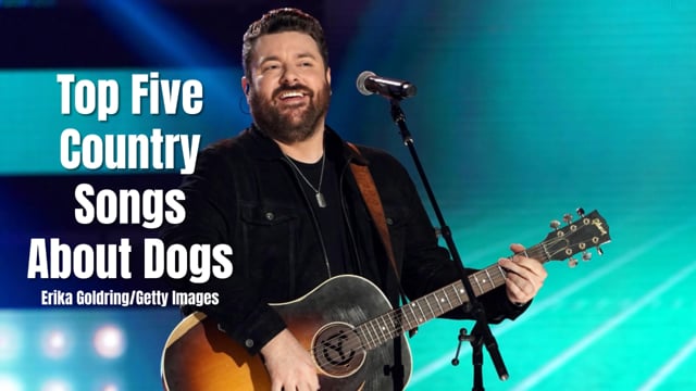 do dogs like country music