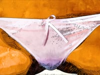 The Ultimate Guide to the Clitoris