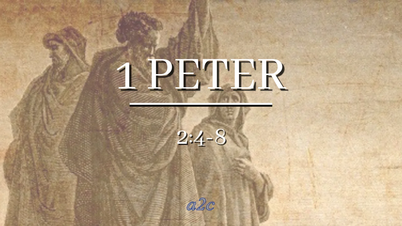 1-peter-2-4-8-february-26-mp4-on-vimeo