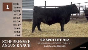 Lot #1 - SR SPOTLITE 912