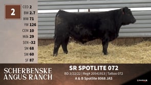 Lot #2 - SR SPOTLITE 072