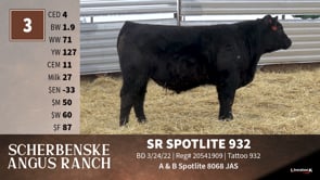 Lot #3 - SR SPOTLITE 932