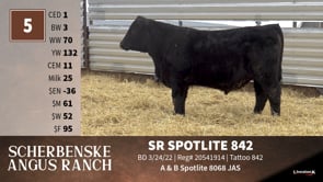 Lot #5 - SR SPOTLITE 842