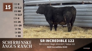 Lot #15 - SR INCREDIBLE 122