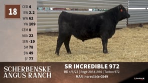 Lot #18 - SR INCREDIBLE 972