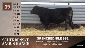 Lot #19 - SR INCREDIBLE 992