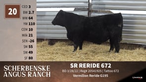 Lot #20 - SR RERIDE 672
