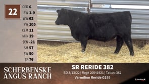 Lot #22 - SR RERIDE 382