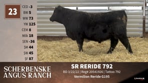 Lot #23 - SR RERIDE 792
