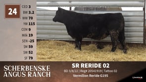 Lot #24 - SR RERIDE 02