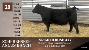 Lot #29 - SR GOLD RUSH 422