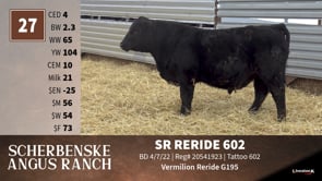 Lot #27 - SR RERIDE 602
