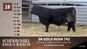 Lot #28 - SR GOLD RUSH 742