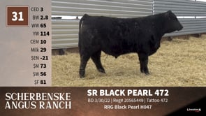 Lot #31 - SR BLACK PEARL 472