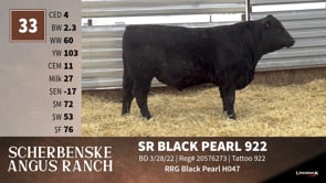 Lot #33 - SR BLACK PEARL 922