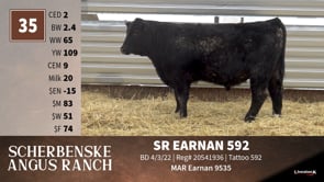 Lot #35 - SR EARNAN 592