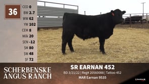Lot #36 - SR EARNAN 452