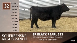 Lot #32 - SR BLACK PEARL 322