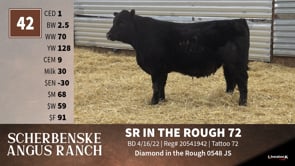 Lot #42 - SR IN THE ROUGH