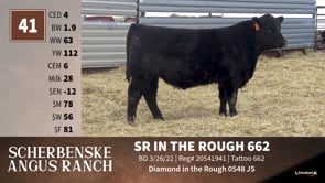 Lot #41 - SR IN THE ROUGH 662