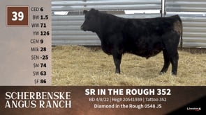 Lot #39 - SR IN THE ROUGH 352
