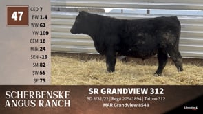 Lot #47 - SR GRANDVIEW 312