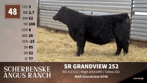 Lot #48 - SR GRANDVIEW 252