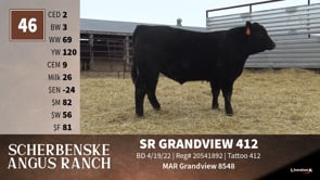 Lot #46 - SR GANDVIEW 412