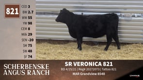 Lot #821 - SR VERONICA 821