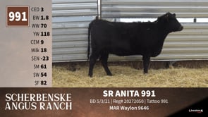 Lot #991 - SR ANITA 991