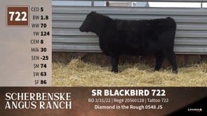Lot #722 - SR BLACKBIRD 722