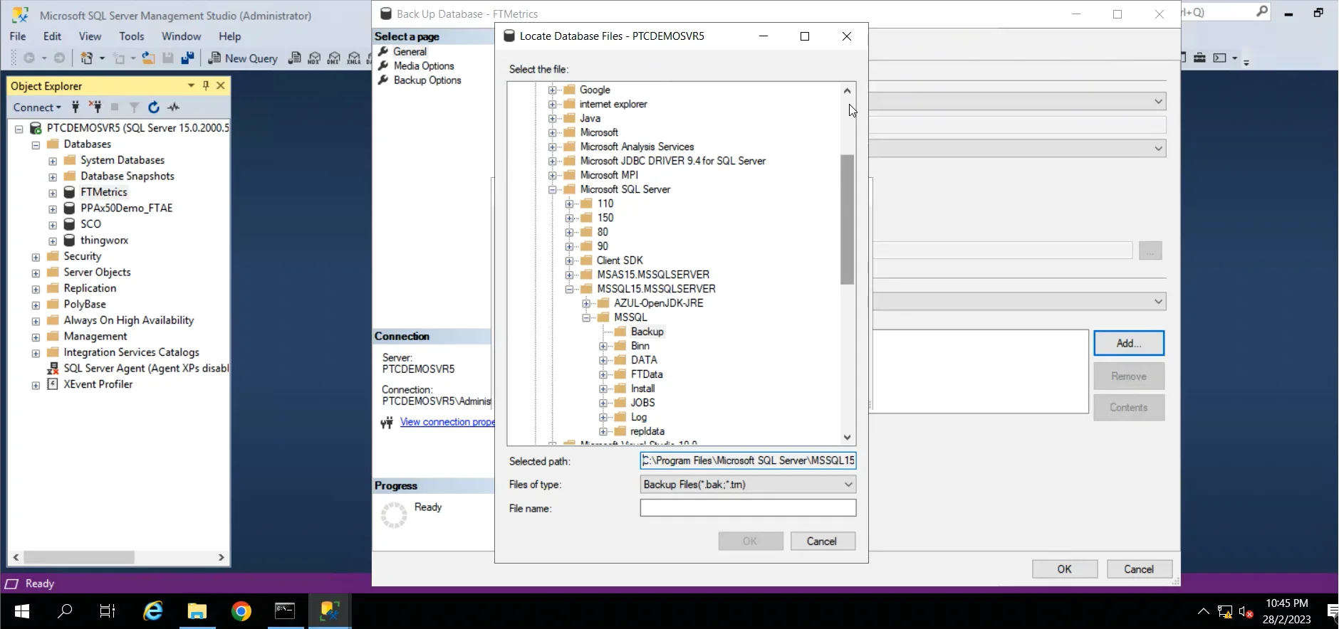 Backup SQL Database Instance on Vimeo